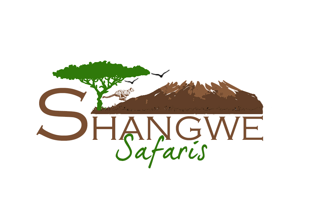 Shangwe-logo