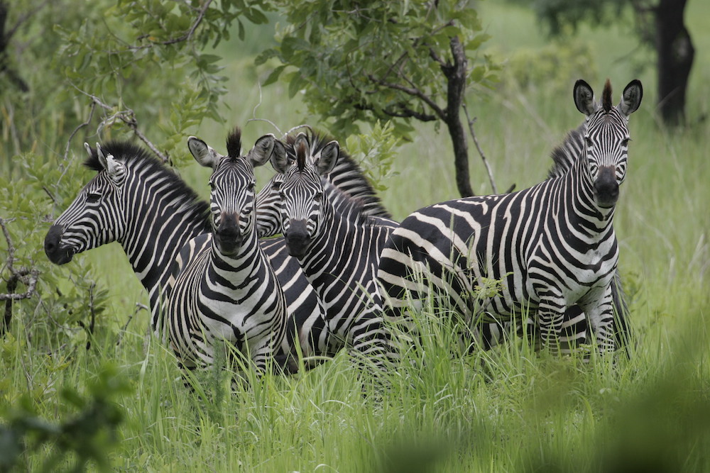 Arusha-National-Park