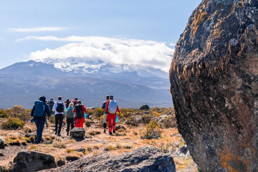 kilimanjaro