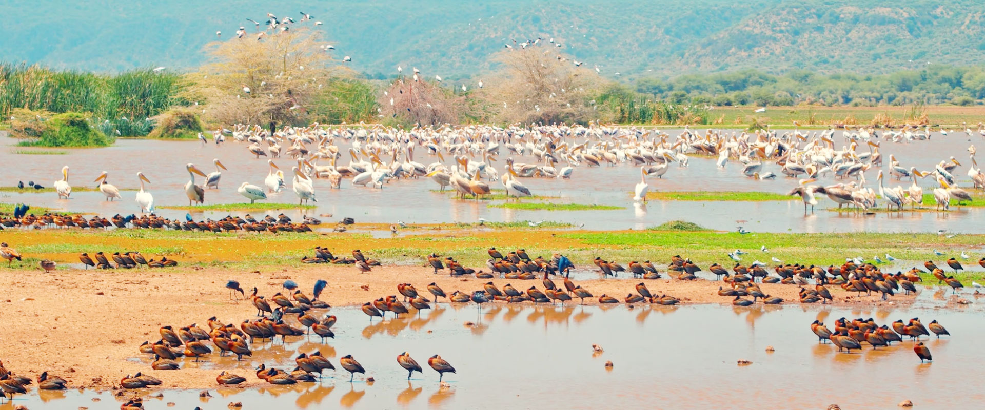 lake-manyara-national-park