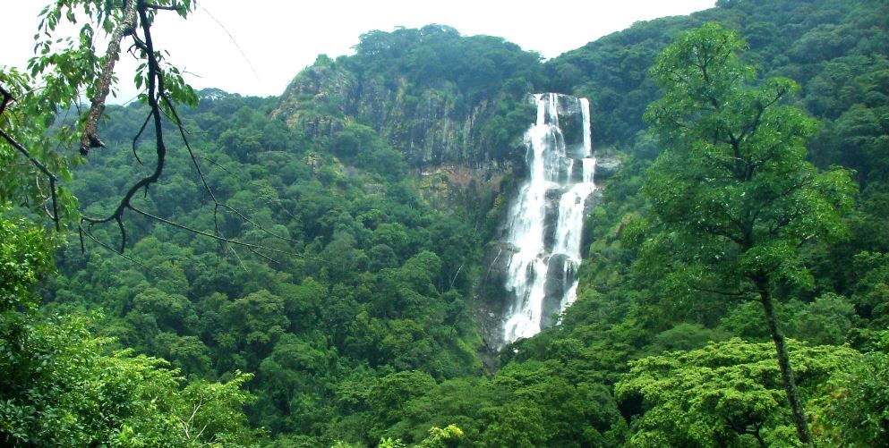 udzungwa-mountains-national-park